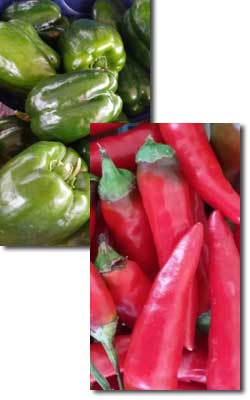 Green & Red Peppers